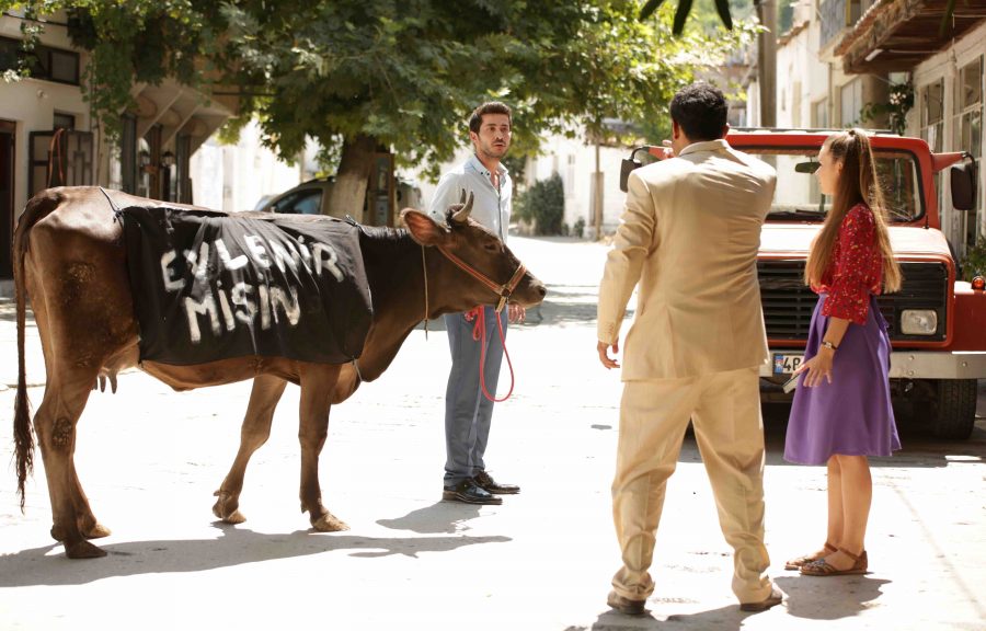 Kalk Gidelim dizisinde 121 hayvan rol alıyor